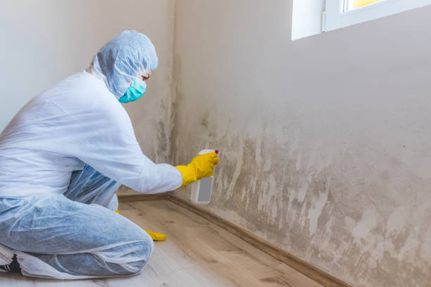 Licensed Mold Remediation service in Burke, VA - 24 Hour Mold Removal