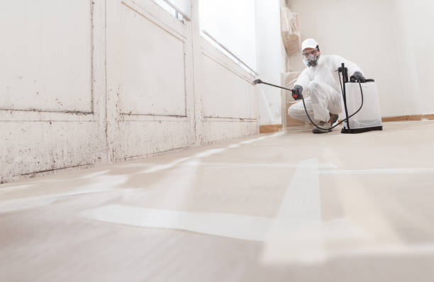 24/7 Emergency Mold Remediation experts in Burke, VA