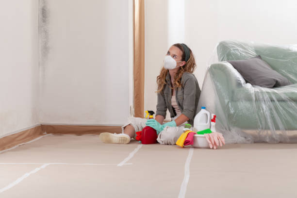 Reliable Mold Remediation contractor in Burke, VA by 24 Hour Mold Removal